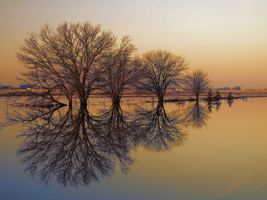 Upon Reflection Photograph by Tom Druin