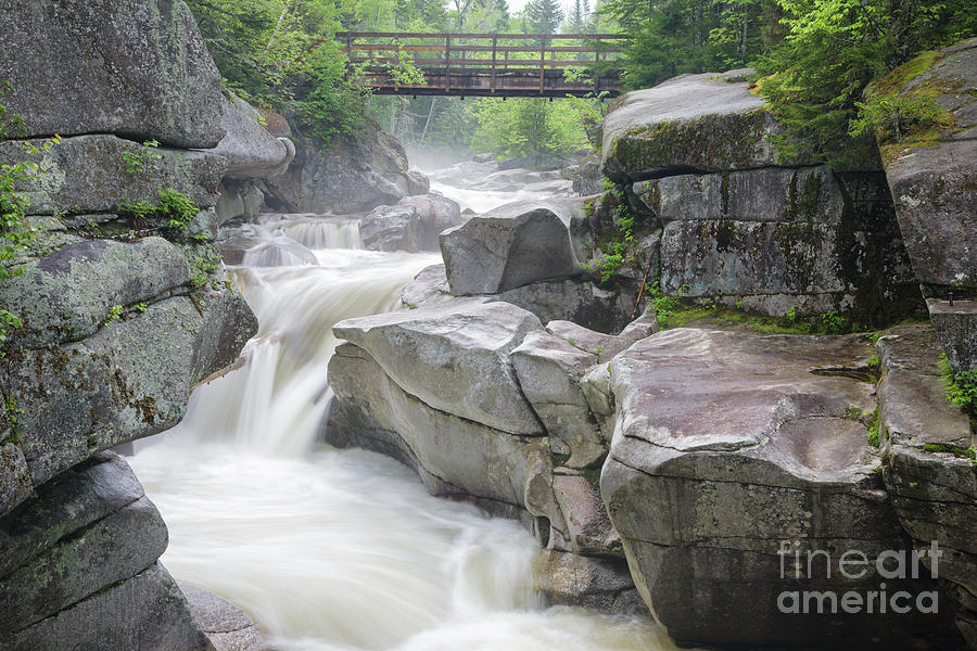 Nature Photograph - Upper Ammonoosuc Falls - Crawfords Purchase New Hampshire by Erin Paul Donovan