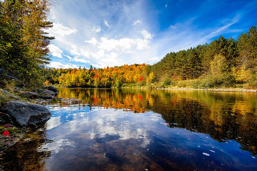 Upper Ammonoosuc River Photograph by Robert Clifford