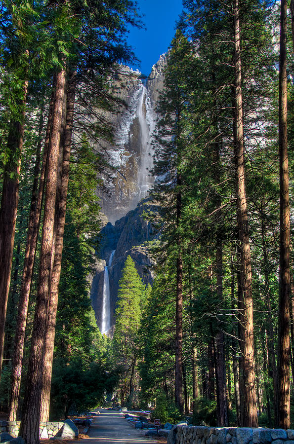 Upper and Lower Yosemite Falls Photograph by Connie Cooper-Edwards
