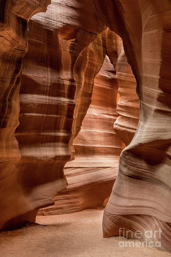 Upper Antelope Canyon Photograph by Craig Shaknis