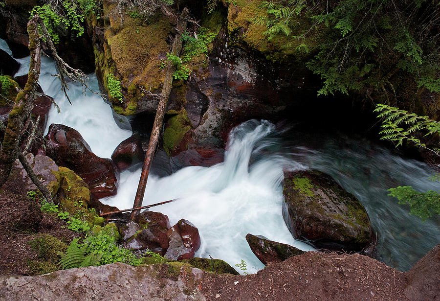 Upper Avalanche Creek Photograph by Doug Davidson