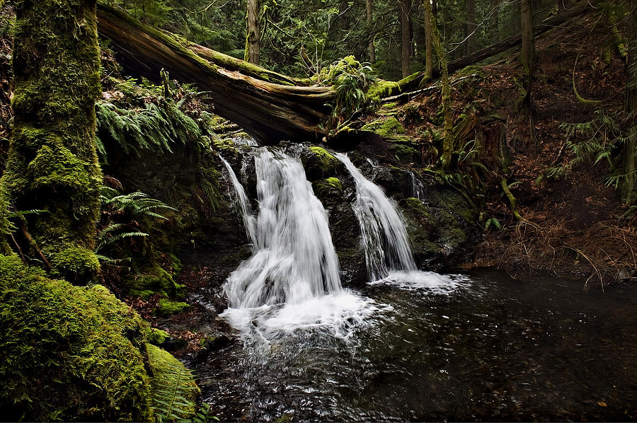 Upper Cascade Falls Photograph by John Christopher