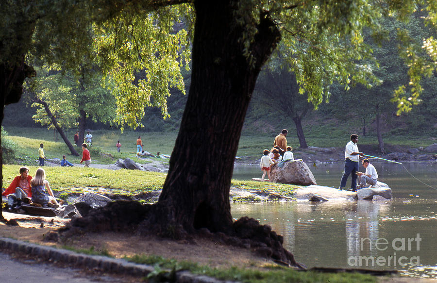 Central Park Photograph - Upper Central Park c1968 by Erik Falkensteen