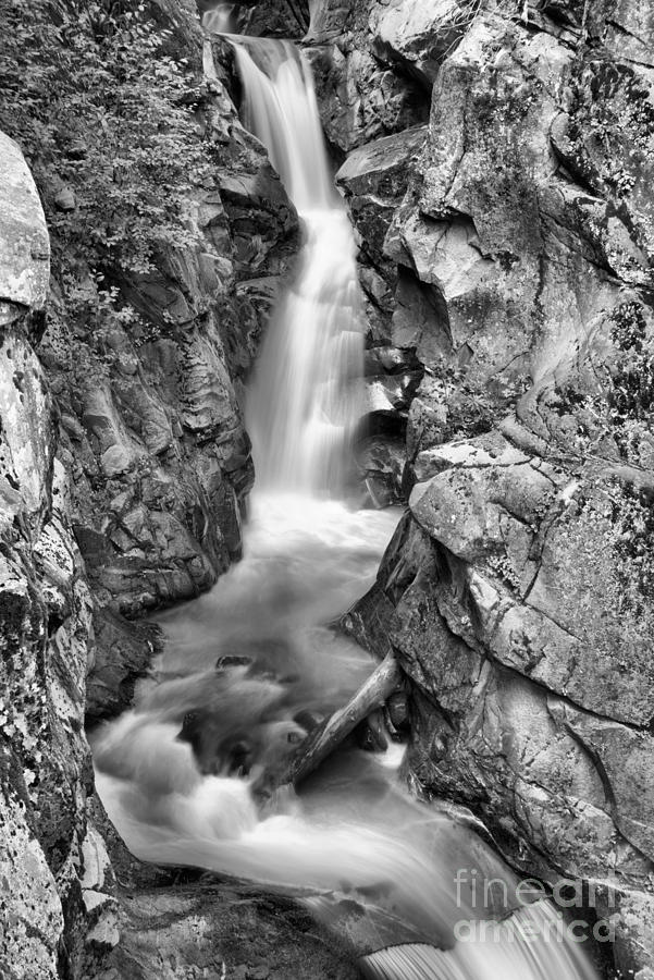 Upper Christine Falls - Black And White Photograph by Adam Jewell