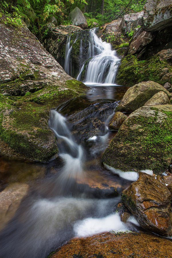 Upper Clay Cascade Photograph by White Mountain Images