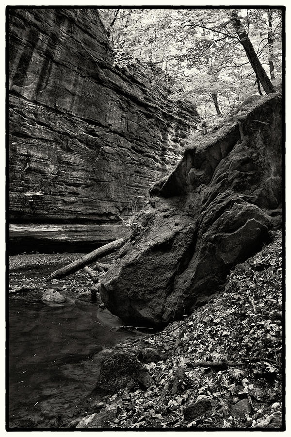 Upper Dells of Mathiessen State Park Photograph by Jason Wolters