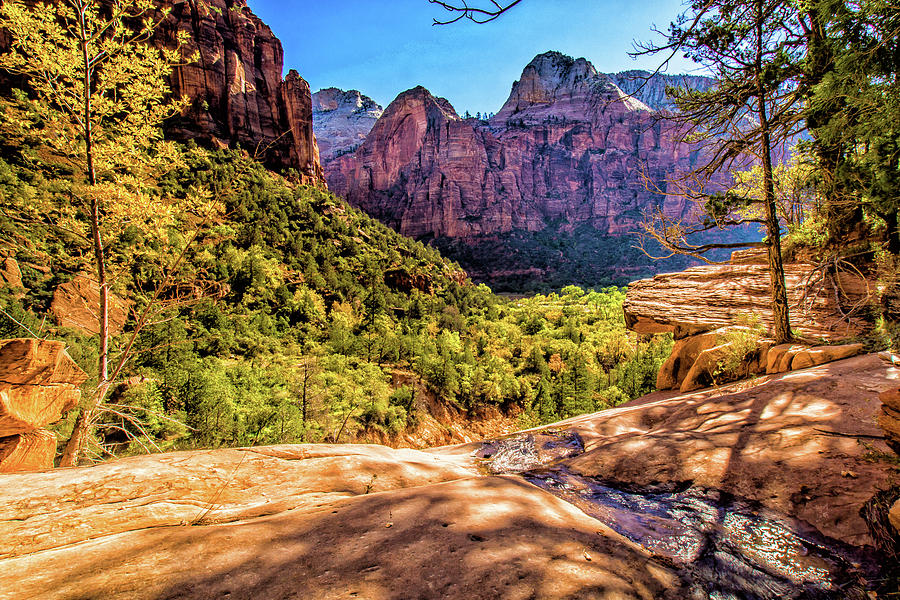 Upper Emerald Pool area Zion National Park Photograph by Donald Pash