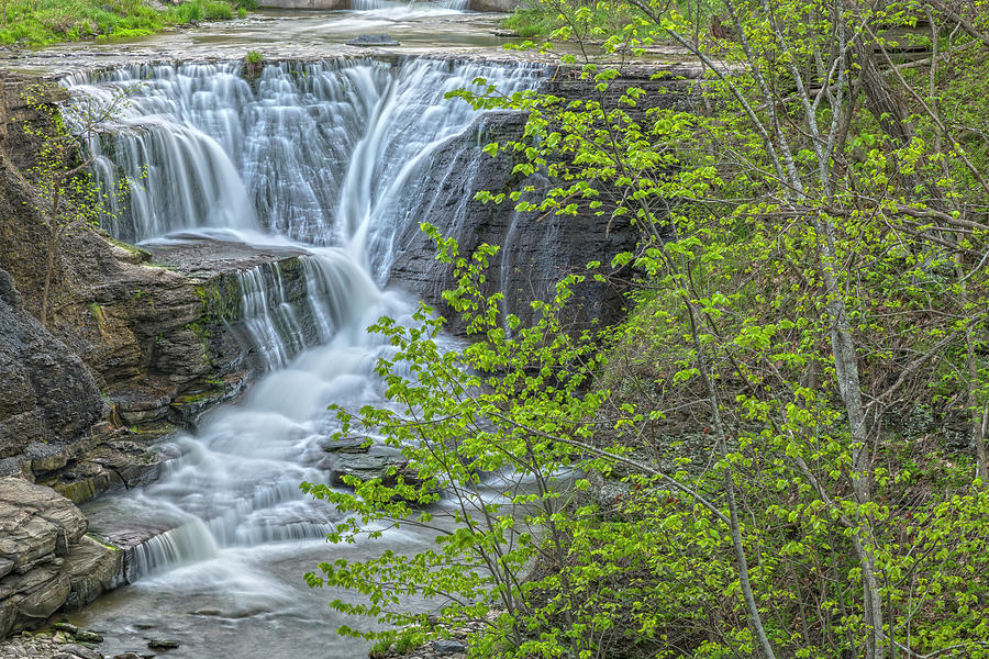 Upper Falls At Mine Kill State Park Photograph by Angelo Marcialis