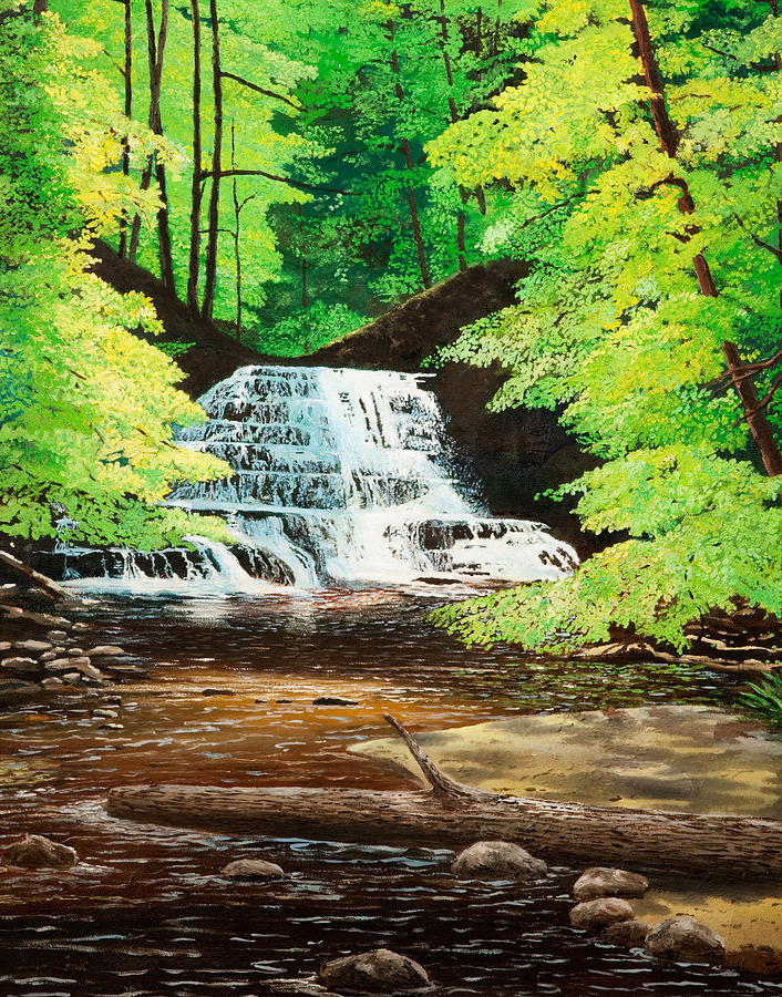 Nature Painting - Upper Falls at Salt Springs by Mark Regni