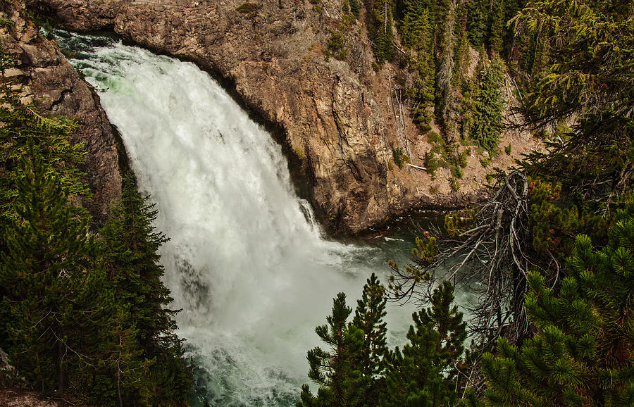 Upper Falls in Yellowstone National Park Photograph by Brenda Jacobs