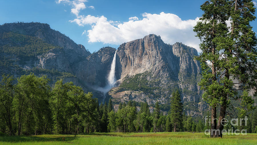 Tree Photograph - Upper Falls In Yosemite  by Michael Ver Sprill