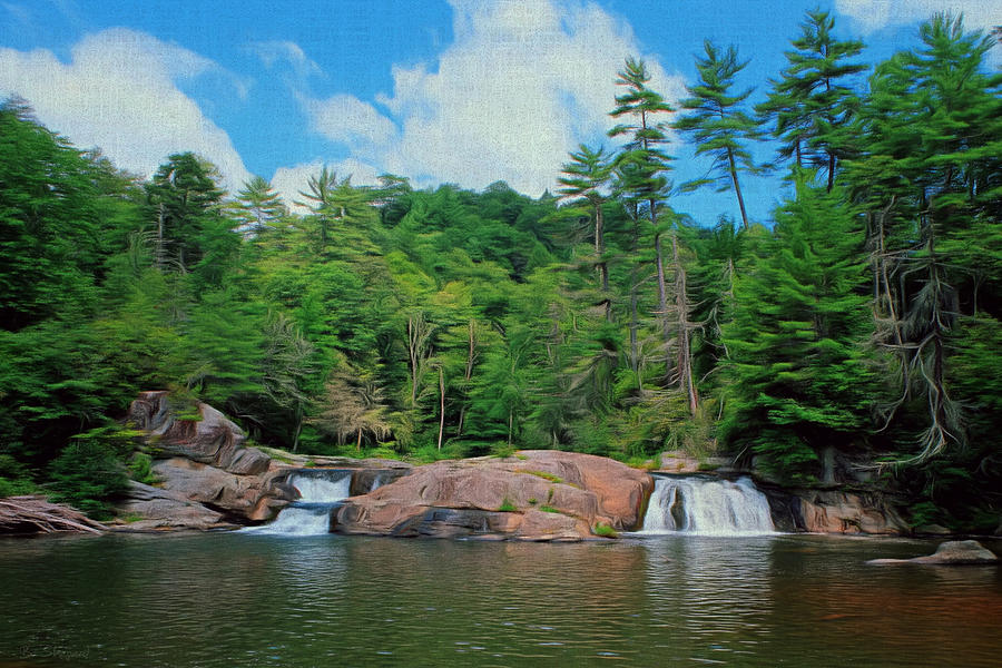 Tree Painting - Upper Falls of Linville by Brian Shepard