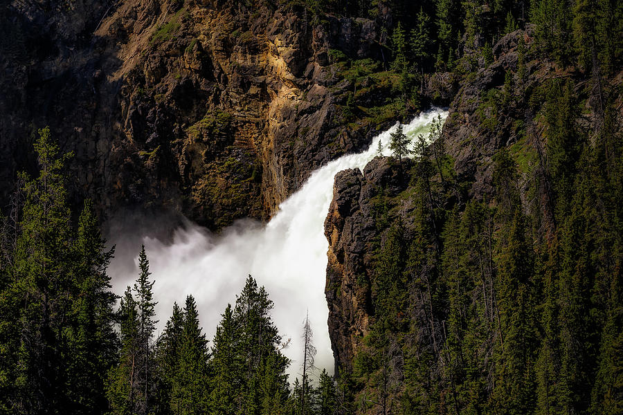 Upper Falls of the Grand Canyon of Yellowstone Photograph by C  Renee Martin