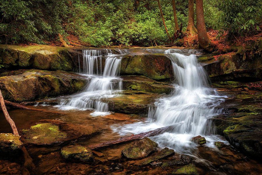 Upper Falls on Wildcat Creek Photograph by Alex Mironyuk - Fine Art America