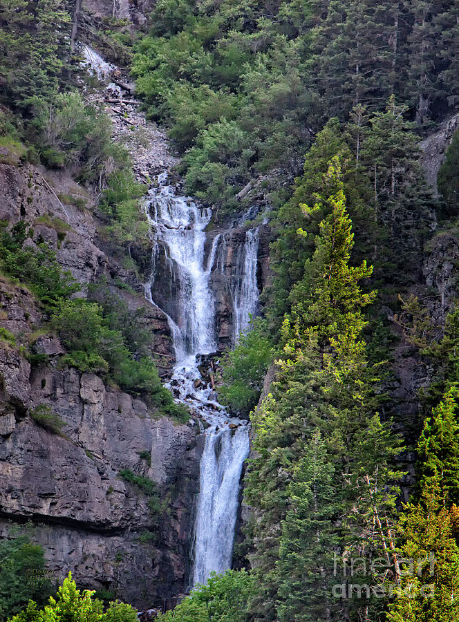 Upper Falls Provo Utah Photograph by David Millenheft