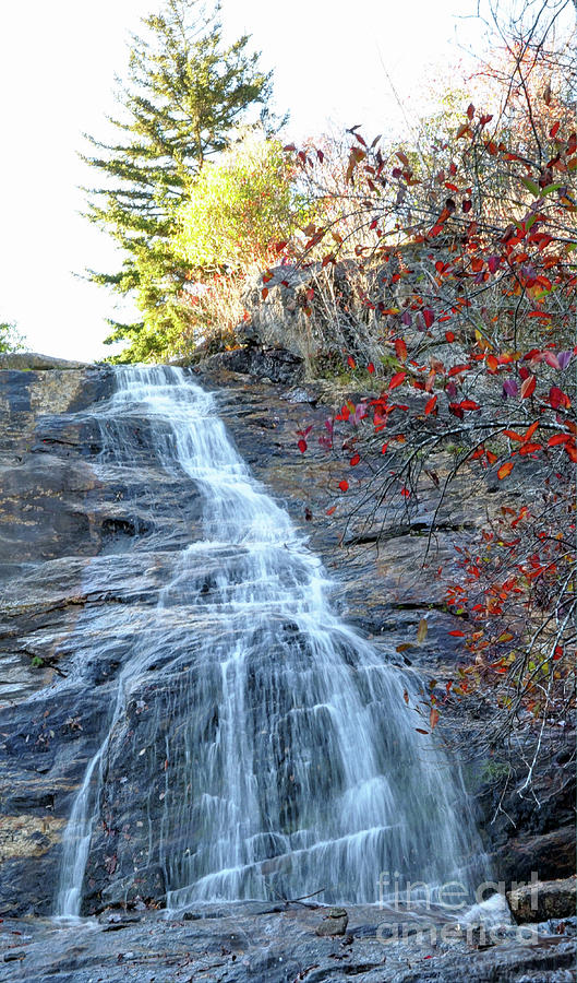 Upper Falls Photograph by Savannah Gibbs