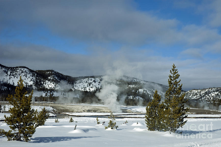 Upper Geyser Basin area Photograph by Cindy Murphy - NightVisions