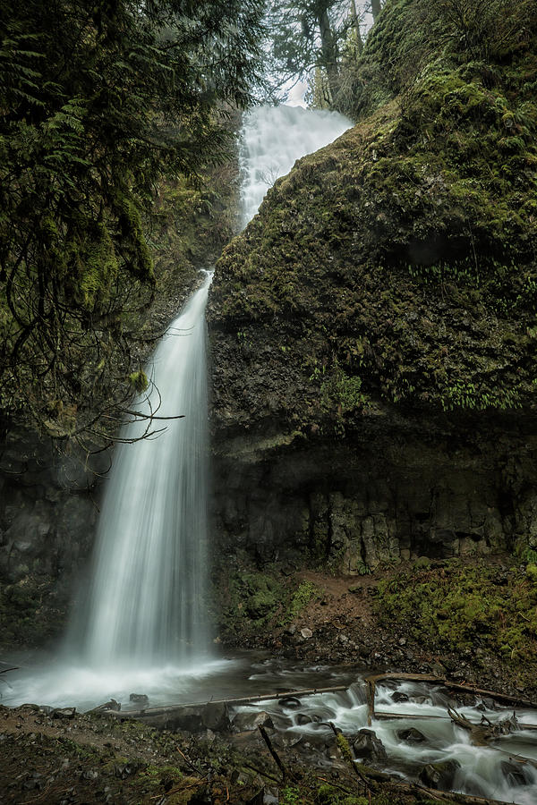 Upper Latourell Falls, No. 1 Photograph by Belinda Greb