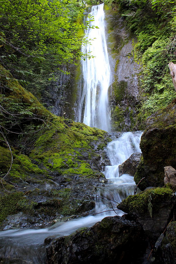 Upper Madison Creek Falls Four Photograph by Nicholas Miller