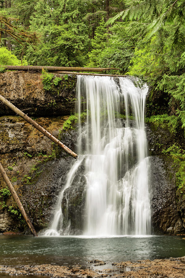 Upper North Silver Falls Vertical Photograph by Mary Jo Allen