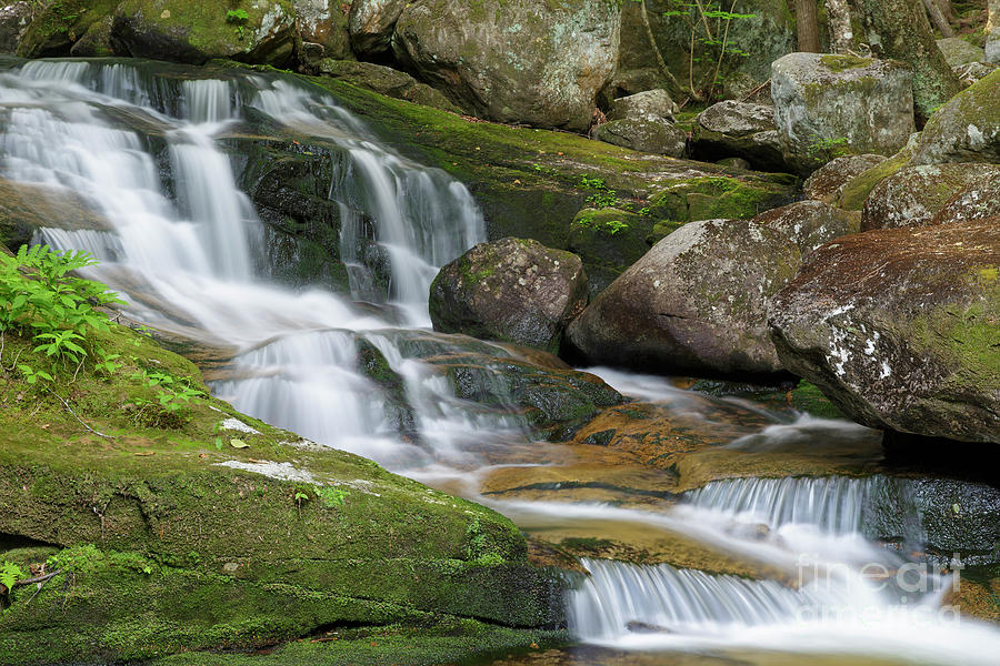 Nature Photograph - Upper Salroc Falls - Randolph New Hampshire  by Erin Paul Donovan