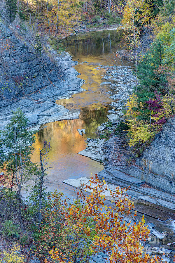 Upper Taughannock Gorge Photograph by Michele Steffey