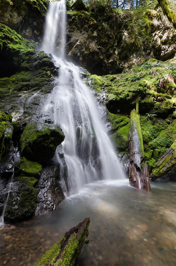 Upper Trestle Creek Falls Photograph by Margaret Pitcher