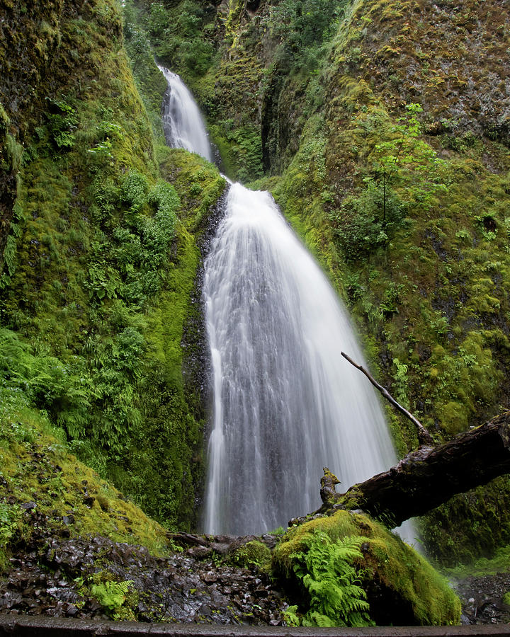 Upper Wahkeena Falls Photograph by Eric Mace - Fine Art America