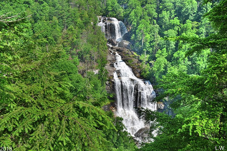 Upper Whitewater Falls NC Summertime Photograph by Lisa Wooten
