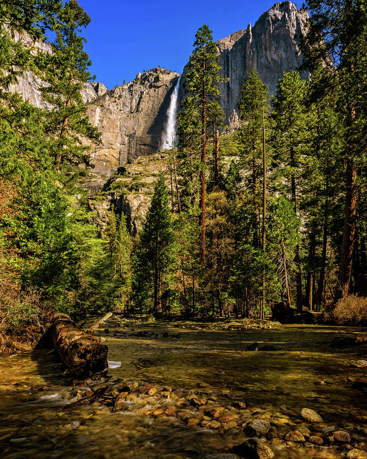 Yosemite National Park Photograph - Upper Yosemite Falls from Yosemite Creek by John Hight