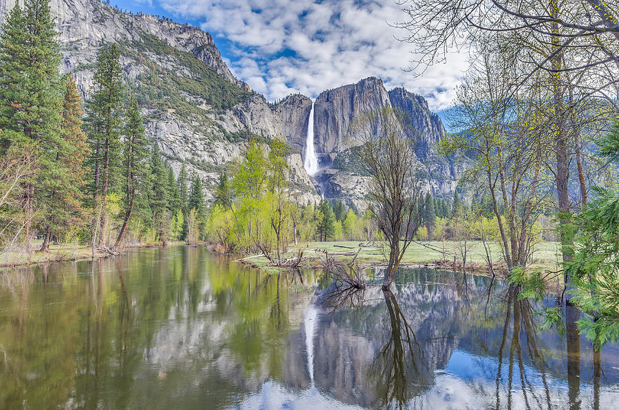 Upper Yosemite Falls in Spring Photograph by Scott McGuire
