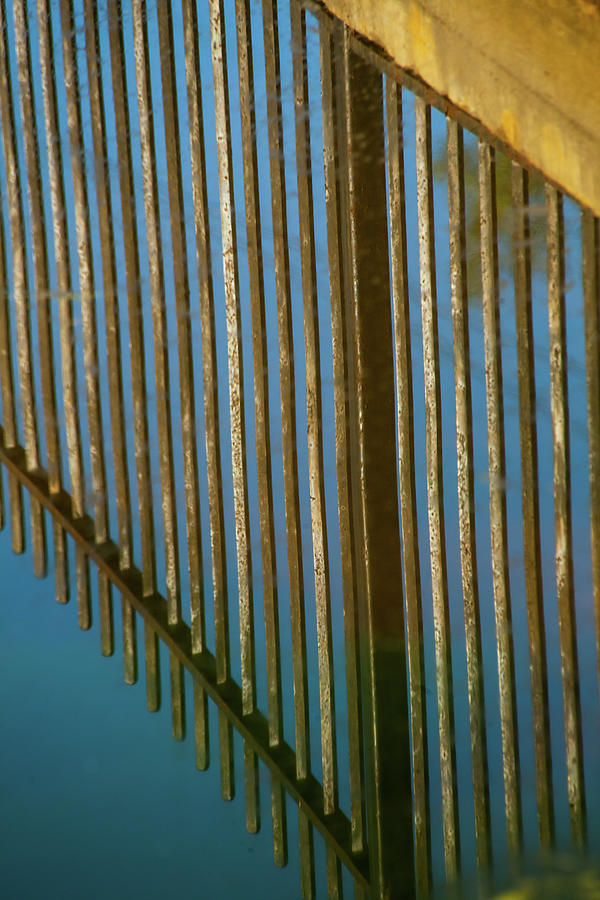 Upside Down Fence Photograph by Karol Livote