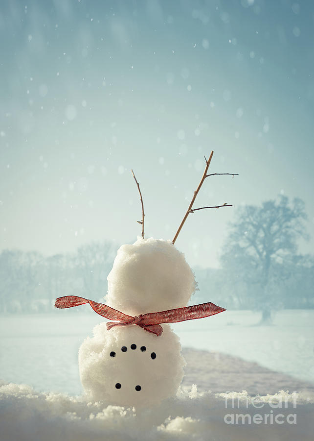 Upside Down Snowman by Amanda Elwell