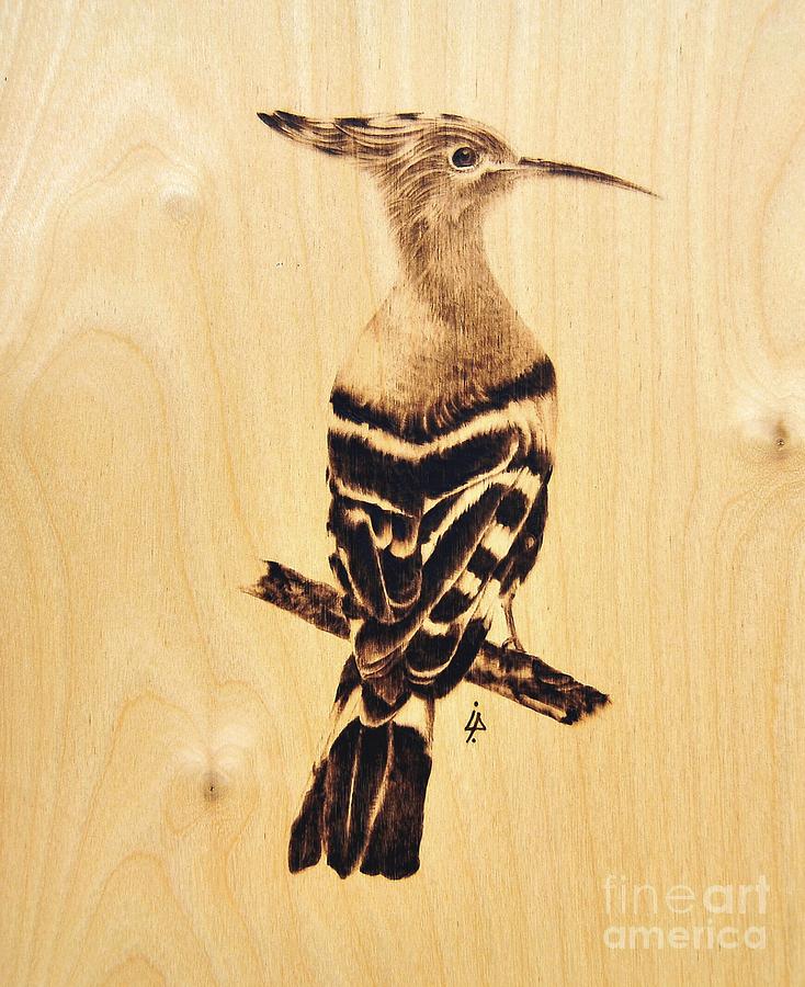Nature Pyrography - Upupa by Ilaria Andreucci