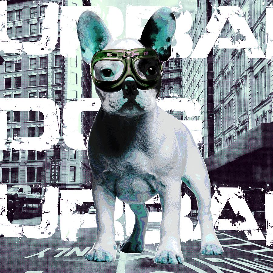 Urban Dog Digital Art by Luz Graphic Studio