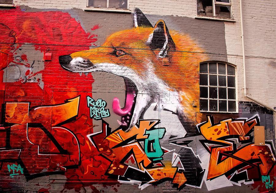 Urban Fox Photograph by Nick Eagles