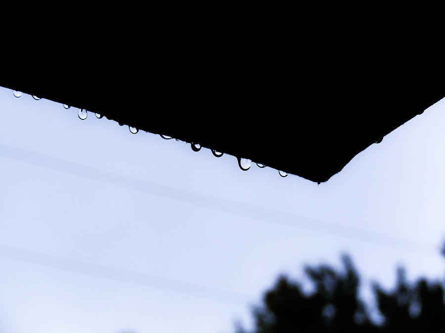 Urban Rain Drops Photograph by Robert Knight