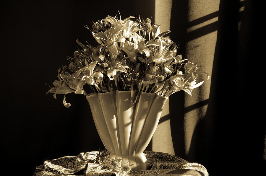 June Photograph - Urban Wildflowers by Wendy Blomseth June Photograph - Urban Wildflowers by Wendy Blomseth