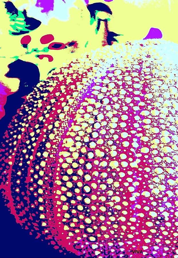Urchin   Abstract Photograph by VIVA Anderson