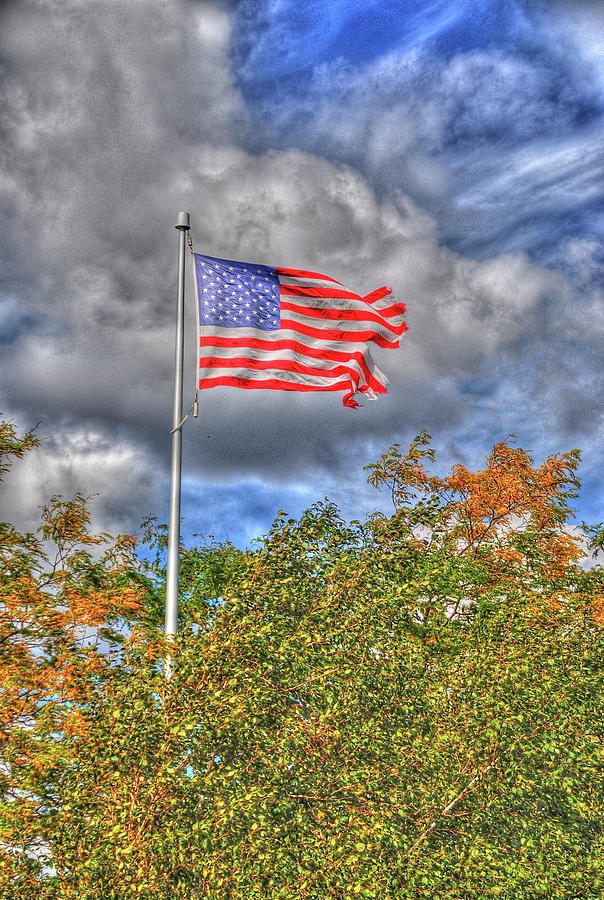 US Flag 8091 Photograph by Guy Whiteley