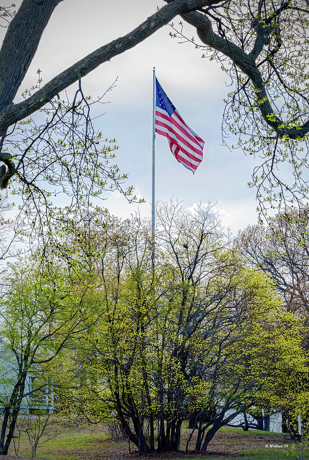 US Flag At Ft Smallwood Pk Photograph by Brian Wallace