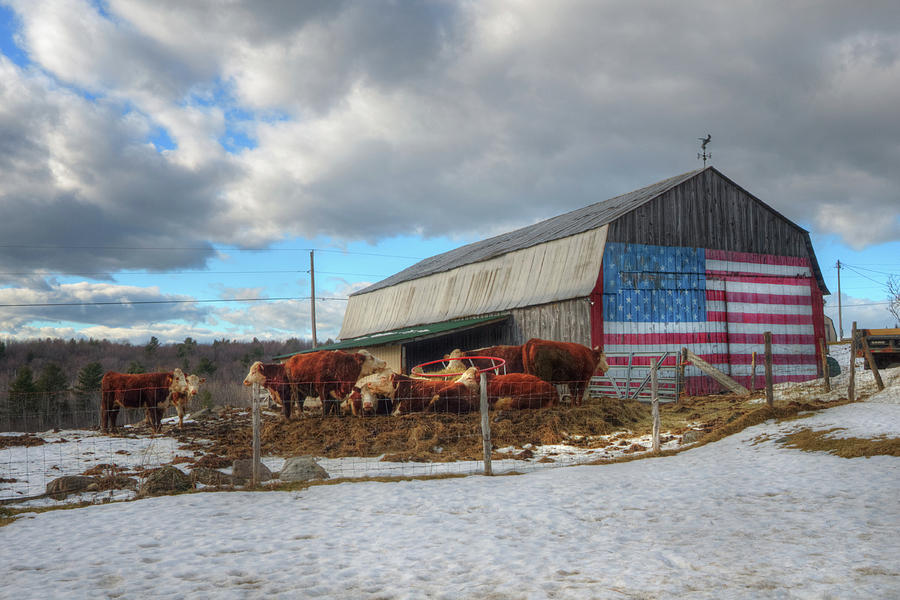 US Flag on Barn - Vermont Farm Scene Photograph by Joann Vitali