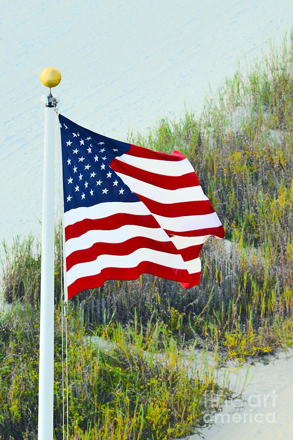 Usa Flag Photograph by Gerlinde Keating