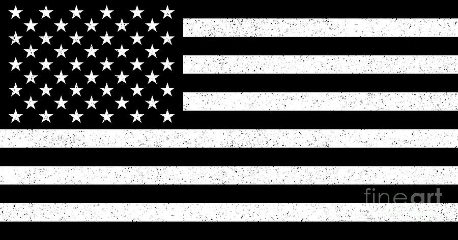 USA flag Grunge Patina Digital Art by Sterling Gold