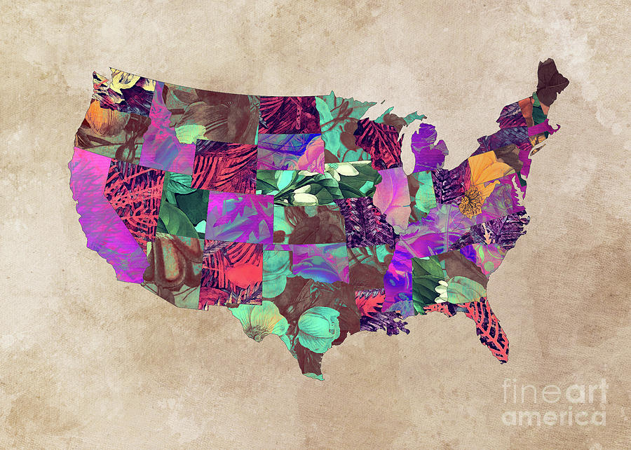 USA map art 3  Digital Art by Justyna Jaszke JBJart