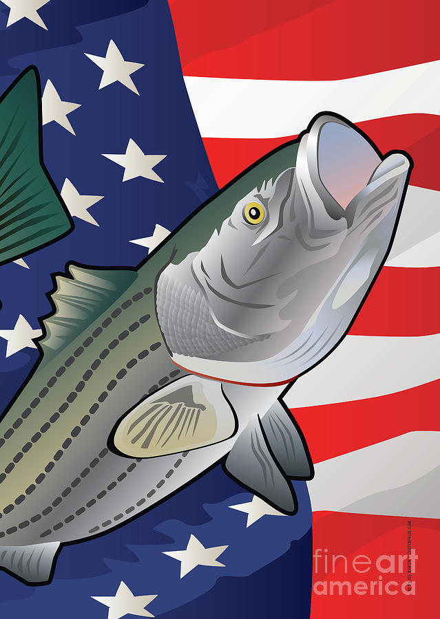 Flag Digital Art - USA Striped Bass Rockfish by Joe Barsin