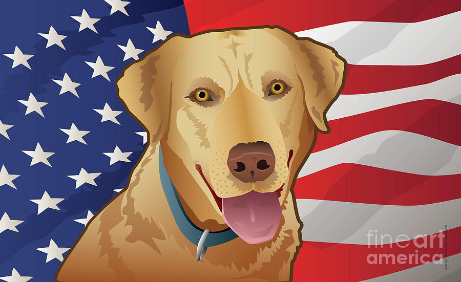 Labrador Retriever Digital Art - USA Yellow Lab by Joe Barsin