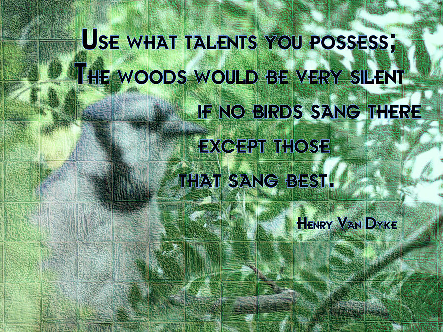 Use What Talents You Possess Digital Art by Leslie Montgomery