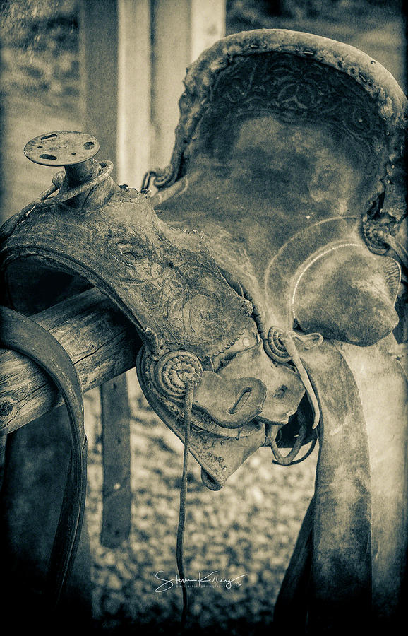 Used Saddle by Steve Kelley Used Saddle by Steve Kelley